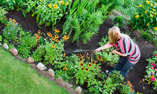 全国の優良ガーデンセンターがつくった育てる園芸良品